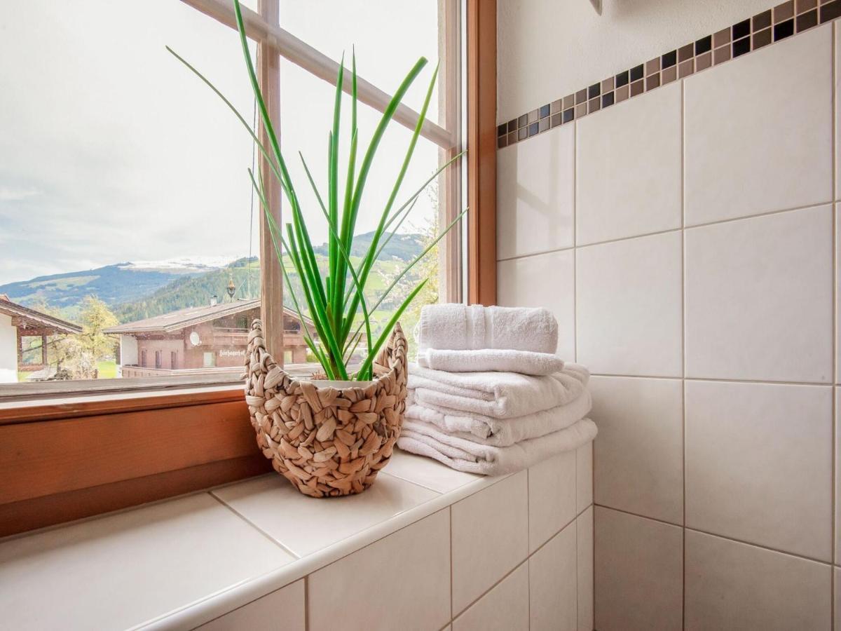 Attractive In With Storage * Hainzenberg